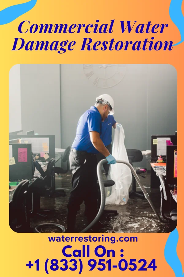 Commercial Water Damage Restoration in Goose Lake, IA
