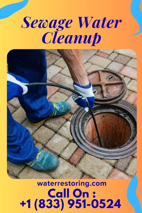 Sewage Water Cleanup in Goose Lake, IA